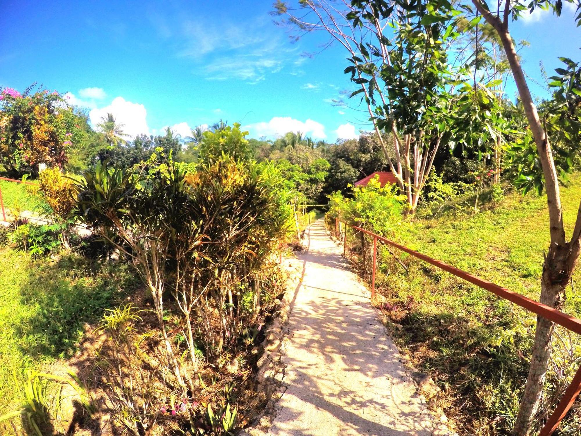 Al Hamra Jungle Resort (Adults Only) Puerto Princesa Exteriör bild